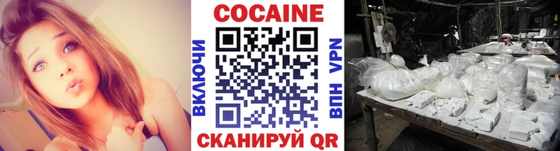 Купить закладки  Камышин  Cocaine Перу 