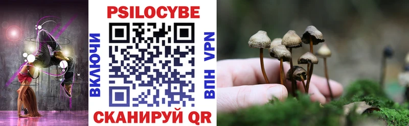 Галлюциногенные грибы Magic Shrooms  Купить где  Камышин 