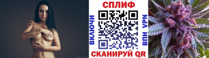 Марихуана MAZAR  Купить закладки  Камышин 